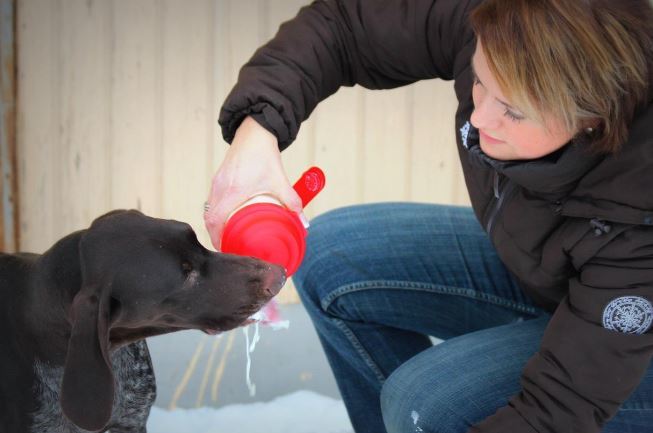 FitDog Shaker